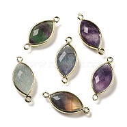 Natural Fluorite Faceted Connector Charms, Rack Plating Brass Horse Eye Links, Golden, 25x11.5x5.5mm, Hole: 1.6mm(G-K347-03G-15)