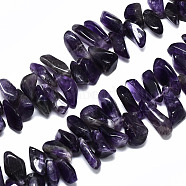 Natural Amethyst Strands Beads, Top Drilled, Nuggets, 10~20x5~15x3~10mm, Hole: 0.8mm, about 45~55pcs/strand, 9.45 inch~10.63 inch(24~27cm)(G-R485-06A)