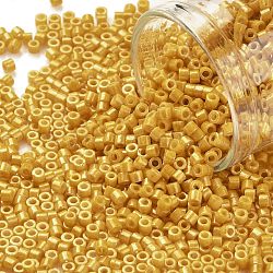 Cylinder Seed Beads, Opaque Colours Luster, Uniform Size, Goldenrod, 2x1.5mm, Hole: 0.8mm, about 888pcs/10g(X-SEED-H001-H22)
