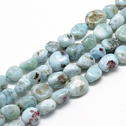 Natural Larimar Beads Strands, Grade A, Oval, 8~15x7~12x4~12mm, Hole: 1mm, about 30~45pcs/strand, 15.7 inch(G-R445-8x10-15)