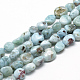 Natural Larimar Beads Strands(G-R445-8x10-15)-1