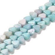 Natural Dolomite Beads Strands, Dyed, Triangle, Pale Turquoise, 5.5~6x6~6.5x3mm, Hole: 1mm, about 72pcs/strand, 16.14 inch(41cm)(G-F765-H07-01)