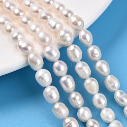 Natural Cultured Freshwater Pearl Beads Strands, Two Sides Polished, Creamy White, 7.5~9x6~7.5x6~7mm, Hole: 0.6mm, about 21~22pcs/strand, 7.09''(18cm)(PEAR-N014-07L-01)