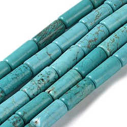 Natural Howlite Beads Strands, Column, Dyed & Heated, 15x6~6.5mm, Hole: 1mm, about 26pcs/strand, 15.35''(39cm)(G-Q008-A02-01)