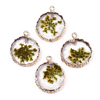 Transparent Clear Epoxy Resin & Dried Flower Pendants, with Edge Light Gold Plated Iron Loops, Flat Round, Olive, 25~26x20~21x4.5mm, Hole: 1.8mm