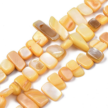 Natural Trochid Shell/Trochus Shell Beads Strands, Dyed, Rectangle, Wheat, 6~11x6~36x1~7mm, Hole: 1mm, about 45~55pcs/strand, 14.96 inch~15.35 inch(38cm~39cm)