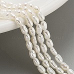 Natural Cultured Freshwater Pearl Beads Strands, Rice, Grade 3A+, Snow, 2.8~3.2mm, Hole: 0.3mm, about 31pcs/strand, 6.69''~6.89''(17~17.5cm)(PEAR-P062-01D-X)