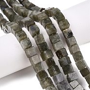 Natural Labradorite Beads Strands, Cube, 7~9x7~9x7~9mm, Hole: 1.2mm, about 47~49pcs/strand, 15.35~15.79''(39~40.1cm)(G-T139-8x8-19A)