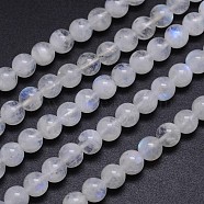 Natural Rainbow Moonstone Round Bead Strands, Grade AA, 6mm, Hole: 1mm, about 60~65pcs/strand, 15.5 inch(G-M263-C-02)
