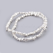 Electroplated Non-magnetic Synthetic Hematite Bead Strand, Star, Frosted, Silver Plated, 6x6x3mm, Hole: 0.7mm, about 87pcs/strand, 15.7 inch(40cm)(G-E498-08B-01)