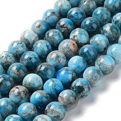 Natural Apatite Beads Strands, Round, 9.5~10.5mm, Hole: 1mm, about 40pcs/strand, 15.71 inch(39.9cm)(G-G858-01C)