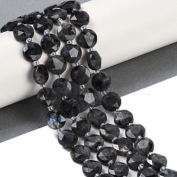 Natural Larvikite Beads Strands, Faceted Pentagonal Cut, Flat Round, with Seed Beads, 10~10.5x5~6mm, Hole: 1mm, about 32~33pcs/strand, 15.75''(40cm)(G-C116-A45-01)