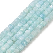 Natural Freshwater Shell Dyed Beads Strands, Faceted Table Cut Cube, Light Blue, 3~3.5x3~3.5x3~3.5mm, Hole: 1mm, about 123pcs/strand, 15.35''(39cm)(SHEL-R100-11A-03)