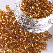 6/0 Glass Seed Beads, Silver Lined Round Hole, Round, Dark Goldenrod, 6/0, 4mm, Hole: 1.5mm, about 450pcs/50g, 50g/bag, 18bags/2pound(SEED-US0003-4mm-22C)