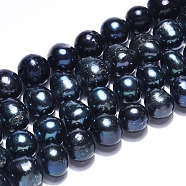 Natural Cultured Freshwater Pearl Beads Strands, Round, Dyed, Prussian Blue, 7~8mm, Hole: 0.8mm, about 47pcs/strand, 14.17 inch(36cm)(PEAR-N013-07G)