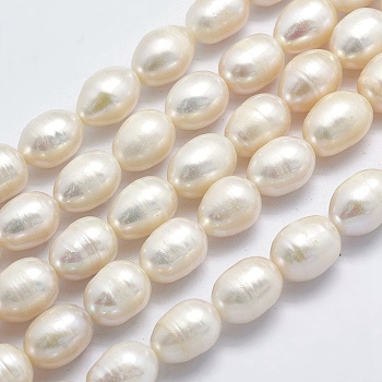 Natural Cultured Freshwater Pearl Beads Strands, Oval, Beige, 9~13x8.5~9mm, Hole: 0.8mm, about 32pcs/strand, 15 inch(38cm)