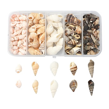 5 Styles Mixed Natural Shell Beads, Undrilled/No Hole Beads, Mixed Color, 8~25x4~15x4~11mm, 48g/box