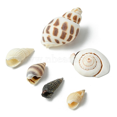 Perles de coquillage en spirale naturelle(SSHEL-YW0001-02)-4