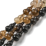 Natural Agate Beads Strands, Dyed, Gourd, Black, 17.5~18.5x9.5~10mm, Hole: 1.2mm, about 23~24pcs/strand, 16.14~16.34 inch(41~41.5cm)(G-C039-C02)