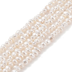 Electroplated Shell Pearl Beads Strands, Nuggets, Antique White, 4~6x6~10x4~6mm, Hole: 1mm, about 88pcs/strand, 16.10 inch(40.9cm)(BSHE-C006-06A)