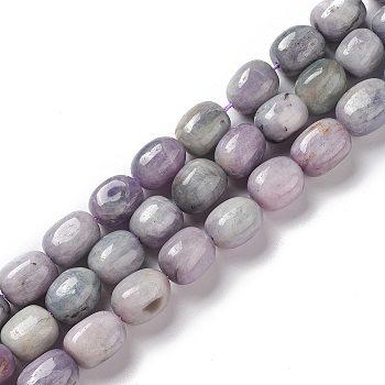 Natural Kunzite Beads Strands, Drum, 12~14x9~11x9~11mm, Hole: 1mm, about 30~32pcs/strand, 15.35''~15.75''(39~40cm)