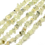 Prehnite Chip Bead Strands, 5~8x5~8mm, Hole: 1mm, about 31.5 inch(G-M205-11)