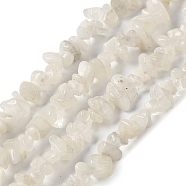 Natural Rainbow Moonstone Beads Strands, Chip, 5~11x4~7x1~5mm, Hole: 1mm, 33.86 inch(86cm)(G-F771-B03-01)