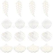 16Pcs 4 Styles Natural Shell Pendants, Leaf & Shell Shape Charms, Seashell Color, 16~35x13~28x1~2mm, Hole: 1~1.2mm, 4pcs/style(SHEL-AR0001-14)