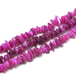Freshwater Shell Beads Strands, Dyed, Chip, Magenta, 8~28x6~8x1~4.5mm, Hole: 1mm, about 340~380pcs/strand, 29.9 inch(SHEL-S272-03)