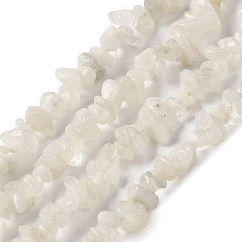 Natural Rainbow Moonstone Beads Strands, Chip, 5~11x4~7x1~5mm, Hole: 1mm, 33.86 inch(86cm)