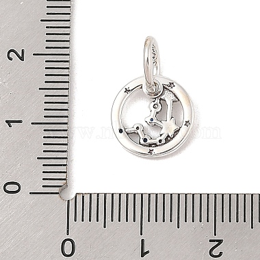 Luminous 925 Sterling Silver Rhinestone Constellation Charms(STER-H114-01AS-03)-3