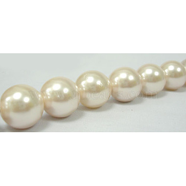 Shell Pearl Beads Strands(SP10MM205)-2