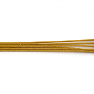 Tiger Tail Wire, Nylon-coated 304 Stainless Steel, Goldenrod, 0.45mm, about 5905.51 Feet(1800m)/1000g(TWIR-S003-0.45mm-15)