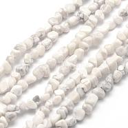 Natural Howlite Beads Strands, Nuggets, 3~5x3~5x3~8mm, Hole: 1mm, about 85~90pcs/strand, 15.7 inch(40cm)(G-F465-05)