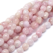 Natural Morganite Beads Strands, Grade A, Drum, Pink, 12~14x9~10mm, Hole: 1mm, about 29~32pcs/strand, 15.94 inch(40.5cm)(G-D0010-20D)