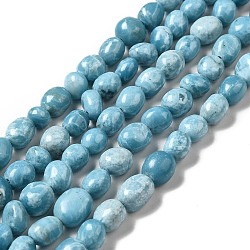 Natural Gemstone Beads Strands, Imitation Larimar, Tumbled Stone, Dyed, Nuggets, Sky Blue, 8~10x6.5~7.5x7~8.5mm, Hole: 1.2mm, about 46~49pcs/strand, 14.96 inch(38cm)(G-F730-05A)