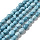 Natural Gemstone Beads Strands(G-F730-05A)-1