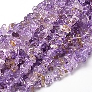 Natural Ametrine Chip Beads Strands, 5~14x4~10mm, Hole: 1mm, about 15.5 inch~16.1 inch(G-E271-134)