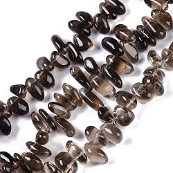 Natural Smoky Quartz Beads Strands, Nuggets, 10~17x6.5~10x7.5~11mm, Hole: 1.2mm, 12.28~16.22''(31.2~41.2cm)(G-B072-D01-02)