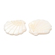 Natural Freshwater Shell Pendants(X-SHEL-F007-20)-3