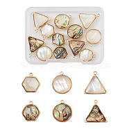 12Pcs 6 Styles Natural Shell Pendant Sets, Including Natural Paua Shell and White Shell, with Golden Tone Brass Findings, Flat Round & Triangle & Hexagon, 15~17.5x13.5~17x4~5.5mm, Hole: 1.5~1.6mm, 2pcs/style(SHEL-CD0001-03)