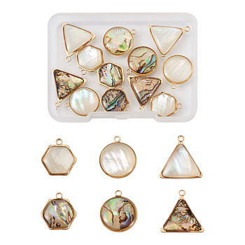 12Pcs 6 Styles Natural Shell Pendant Sets, Including Natural Paua Shell and White Shell, with Golden Tone Brass Findings, Flat Round & Triangle & Hexagon, 15~17.5x13.5~17x4~5.5mm, Hole: 1.5~1.6mm, 2pcs/style