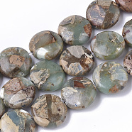 Natural Aqua Terra Jasper Beads Strands, Flat Round, 14x5~6mm, Hole: 1.2mm, about 30~32pcs/strand, 15.94 inch~16.92 inch(40.5~43cm)(G-S366-014)