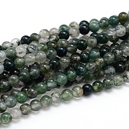 Natural Gemstone Round Bead Strands, Moss Agate, 8mm, Hole: 1mm, about 46~48pcs/strand, 15 inch(X-G-J303-07-8mm)