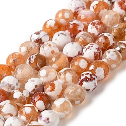 Dyed & Heated Natural Fire Crackle Agate Beads Strands, Faceted, Round, Sandy Brown, 8mm, Hole: 1.2mm, about 49pcs/strand, 14.84''(37.7cm)(G-P539-B01-12)