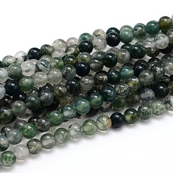 Natural Gemstone Round Bead Strands, Moss Agate, 8mm, Hole: 1mm, about 46~48pcs/strand, 15 inch(X-G-J303-07-8mm)