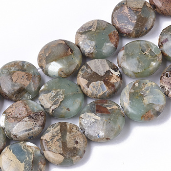 Natural Aqua Terra Jasper Beads Strands, Flat Round, 14x5~6mm, Hole: 1.2mm, about 30~32pcs/strand, 15.94 inch~16.92 inch(40.5~43cm)