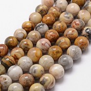 Natural Crazy Agate Beads Strands, Round, 6mm, Hole: 1mm, about 62pcs/strand, 15 inch(X-G-D840-70-6mm)