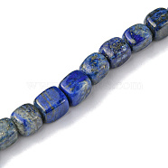 Natural Lapis Lazuli Beads Strands, Cuboid, 8.5~11x7.5~9x7.5~9mm, Hole: 1.2mm, about 20pcs/strand, 7.72~8.74 inch(19.6~22.2cm)(G-F743-02Q)