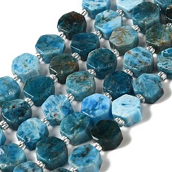 Natural Apatite Beads Strands, Hexagon, with Seed Beads, 8.5~9x8.5~10x4~5mm, Hole: 1mm, about 17~18pcs/strand, 7.48''(19cm)(G-P534-A02-01)